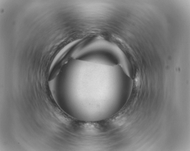 X0000089910566200706291106