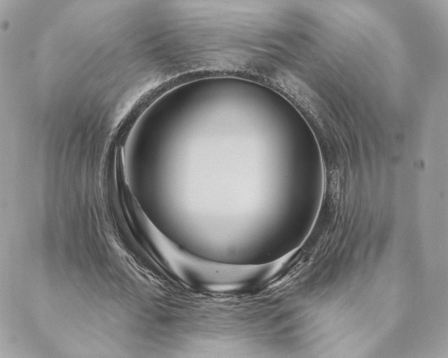 X0000089910676200706291104