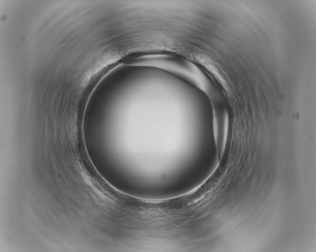 X0000089910677200706291104