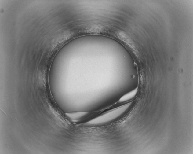 X0000089910681200706291104