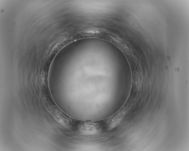 X0000089910758200706291103