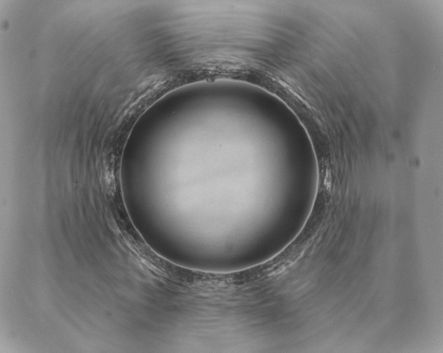 X0000089910771200706291102