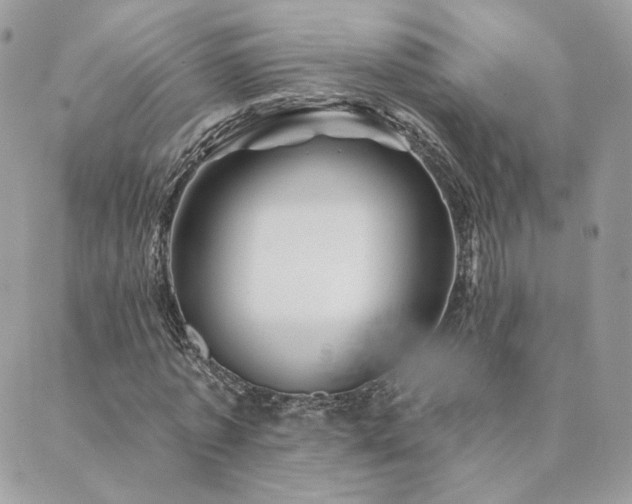X0000089910773200706291102