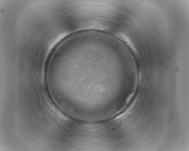 X0000089910780200706291102