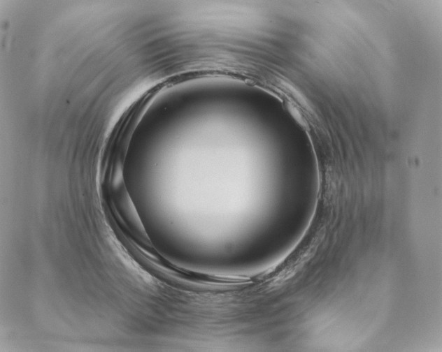 X0000089910788200706291102