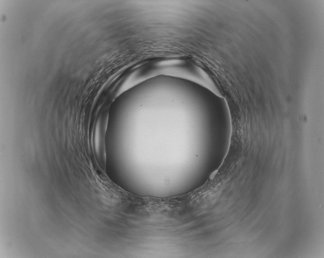 X0000089910818200706291101