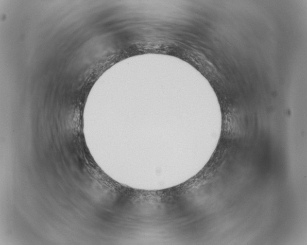 X0000089910820200706291101