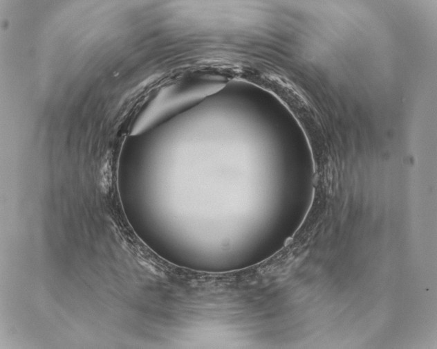 X0000089910821200706291101