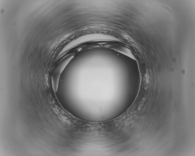 X0000089910822200706291101