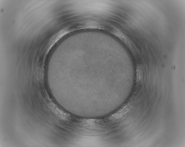 X0000089910828200706291101