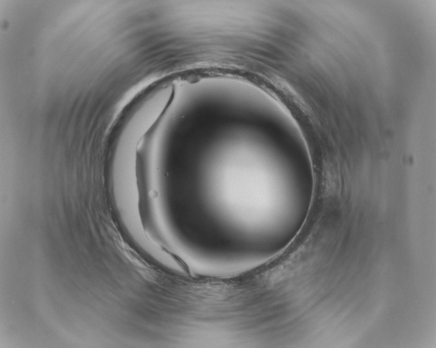 X0000089910830200706291101