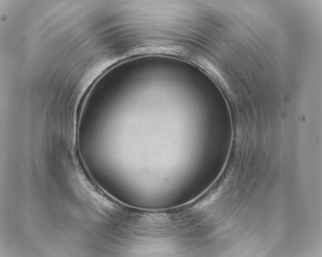 X0000089910844200706291101