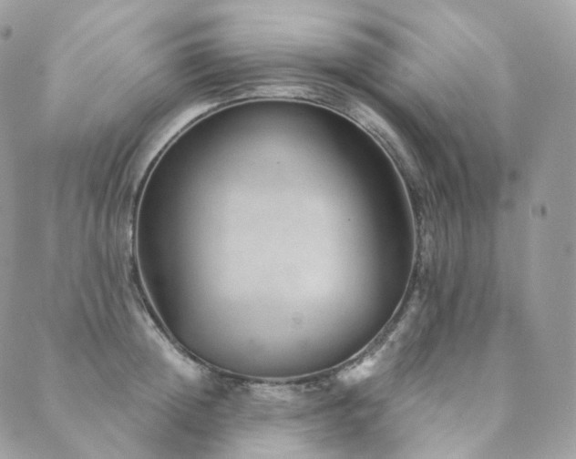 X0000089910852200706291101