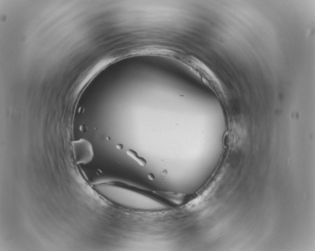 X0000089910860200706291102