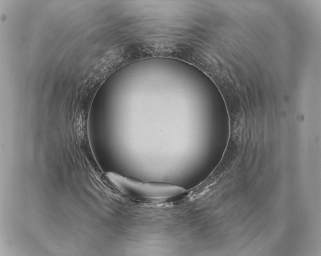 X0000089910866200706291101