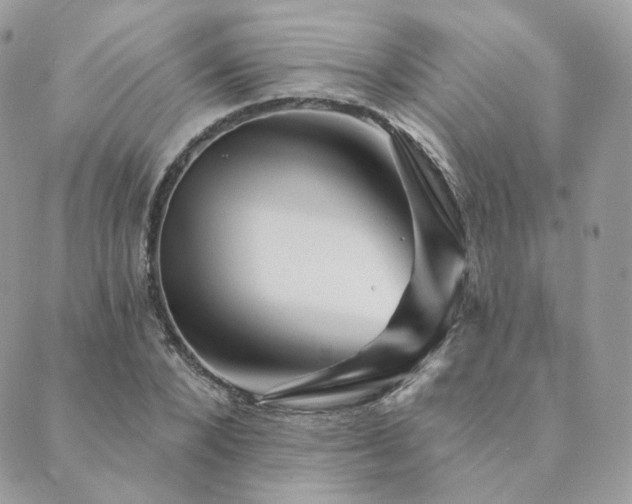 X0000089910880200706291101