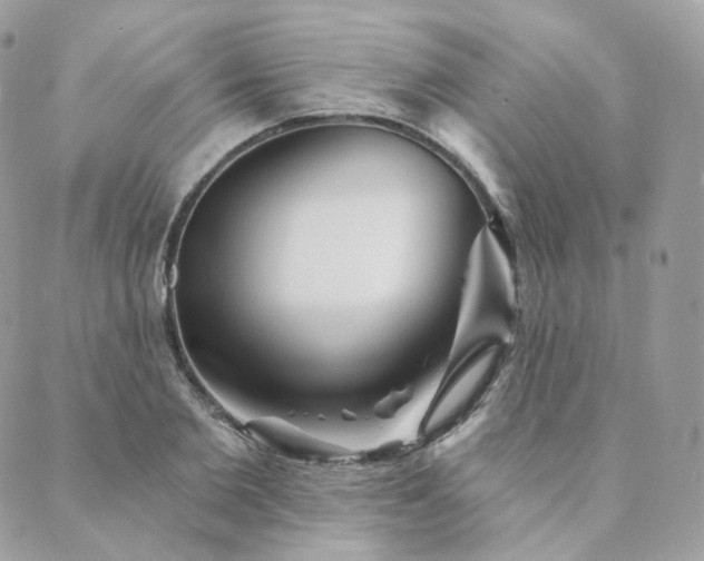 X0000089910885200706291101