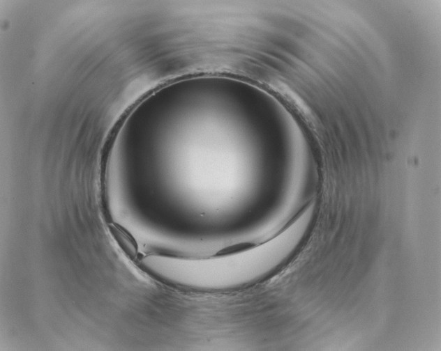 X0000089910894200706291100