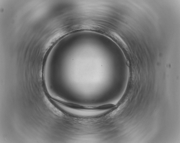 X0000089910938200706291100