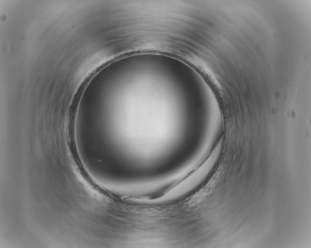 X0000089910991200706291059