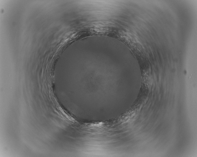 X0000089911009200706291058