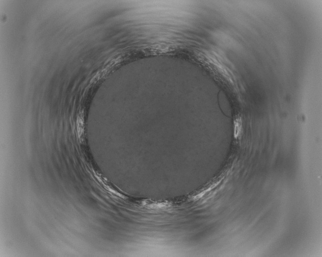 X0000089911011200706291058