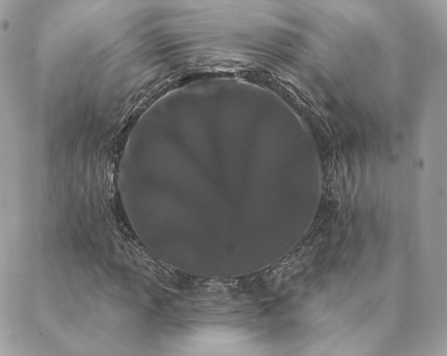 X0000089911013200706291058