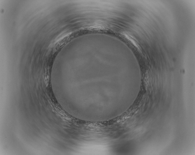 X0000089911015200706291058