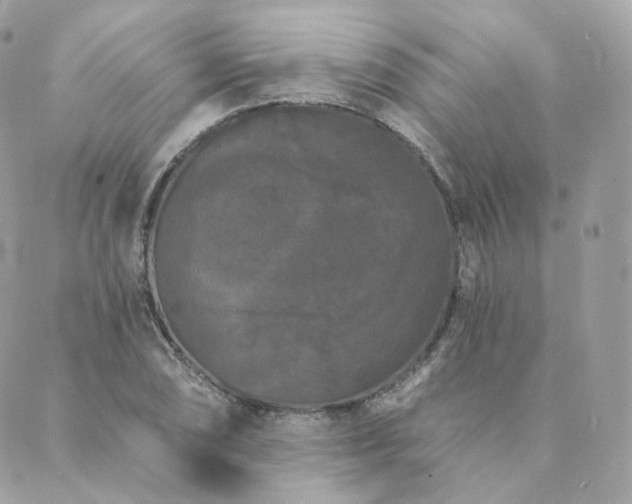 X0000089911074200706291057