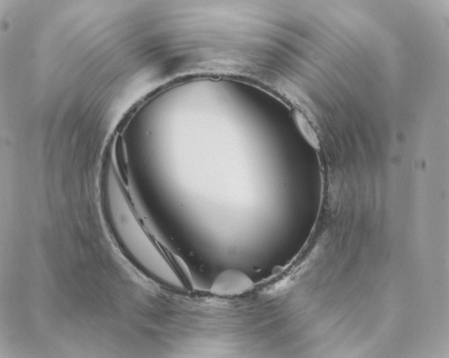 X0000089911085200706291057