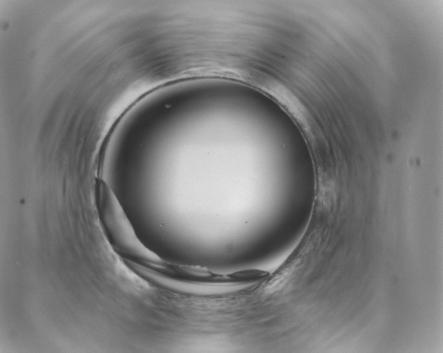 X0000089911102200706291057