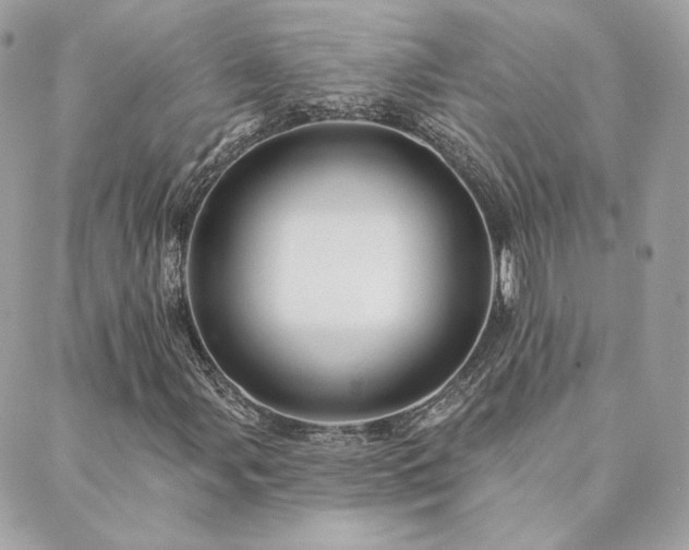 X0000089911107200706291056