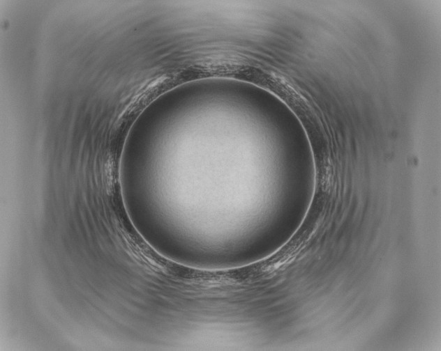 X0000089911108200706291056