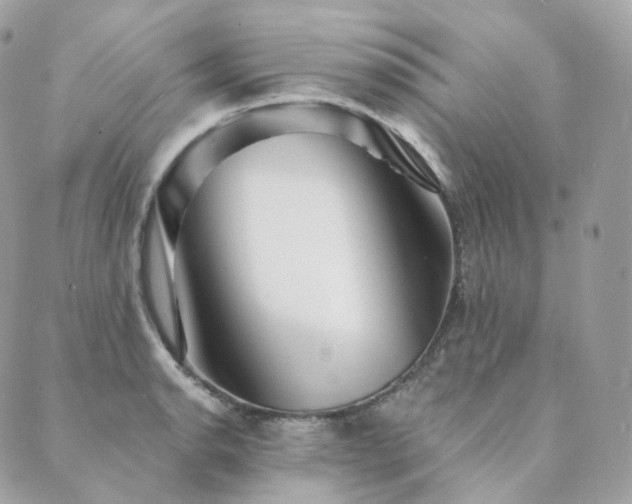 X0000089911134200706291057