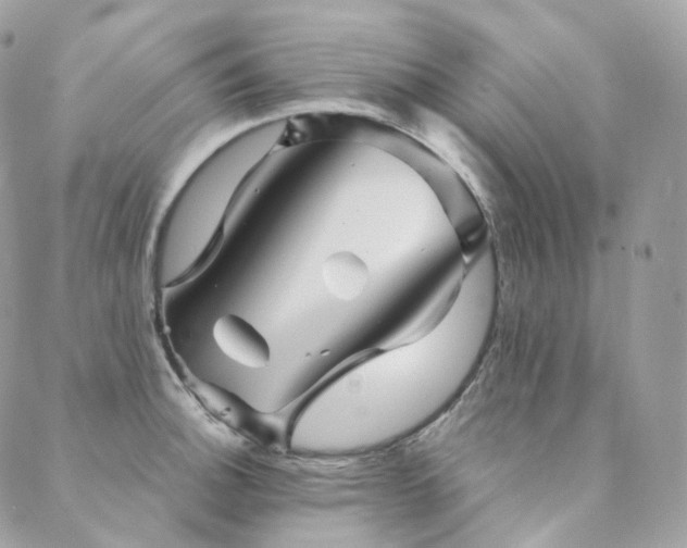 X0000089911140200706291057