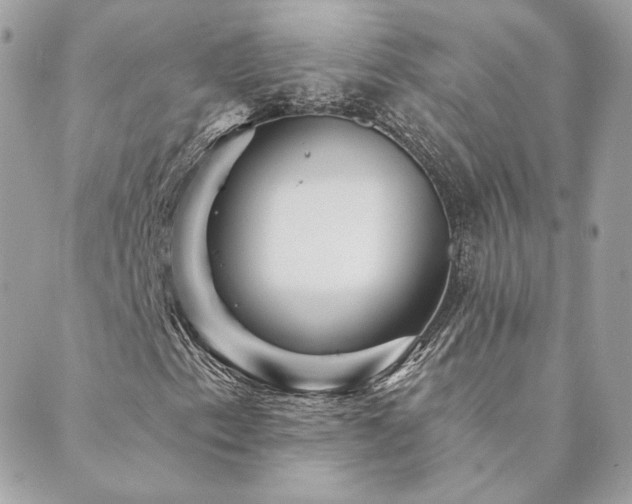 X0000089911153200706291056