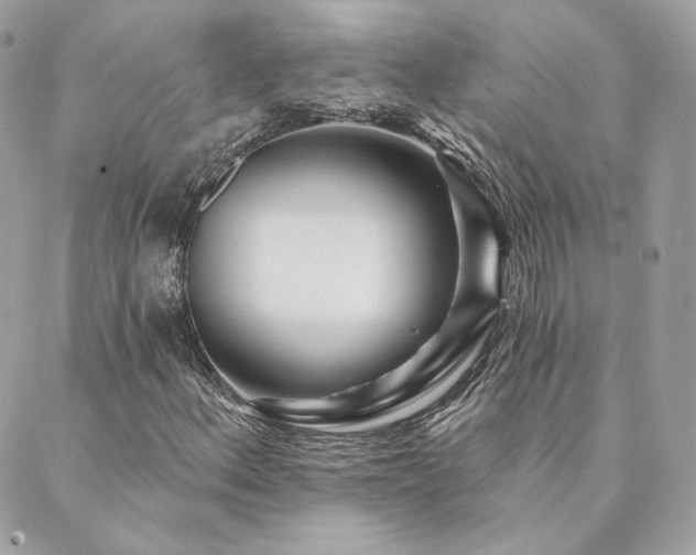 X0000089911156200706291056