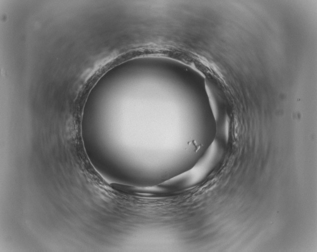 X0000089911160200706291056