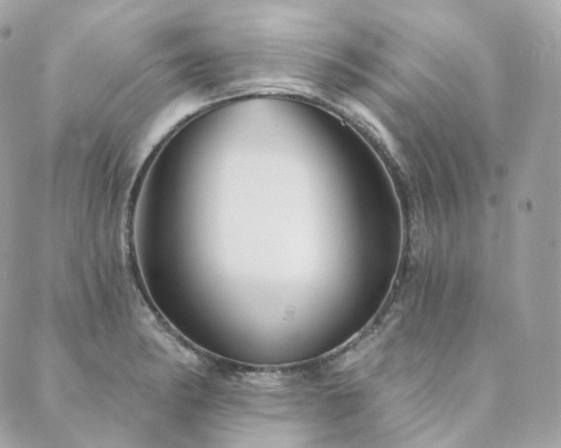 X0000089911182200706291056