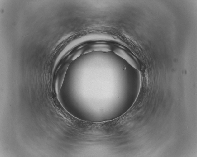X0000089911206200706291055