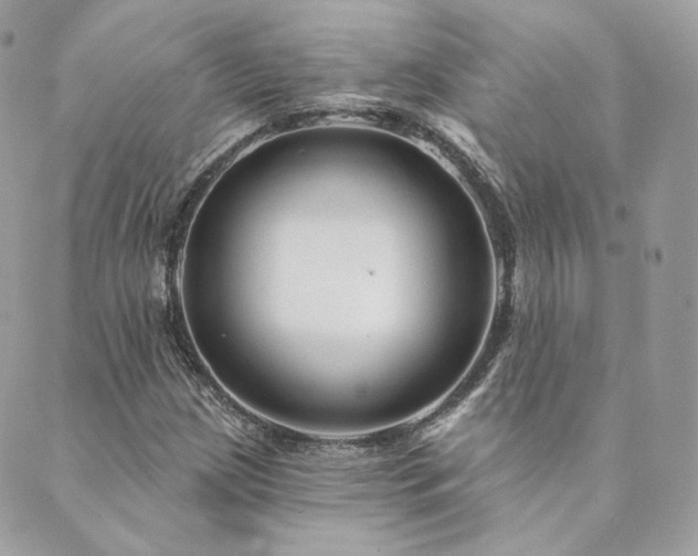 X0000089911209200706291055