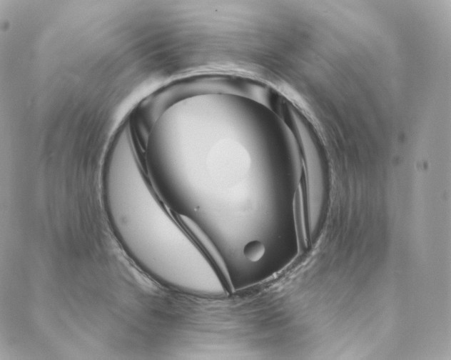 X0000089911230200706291055