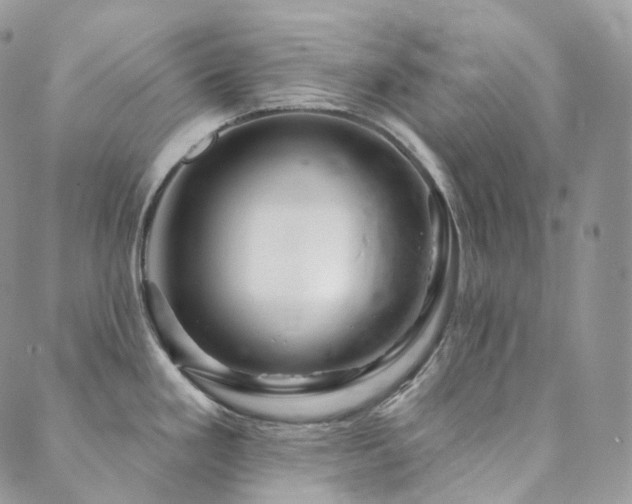 X0000089911293200706291054