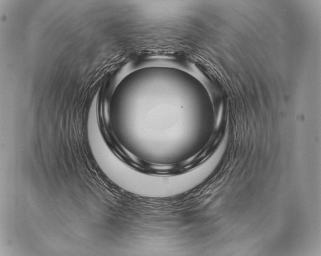 X0000089911298200706291053