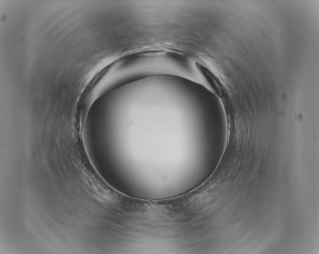 X0000089911308200706291053