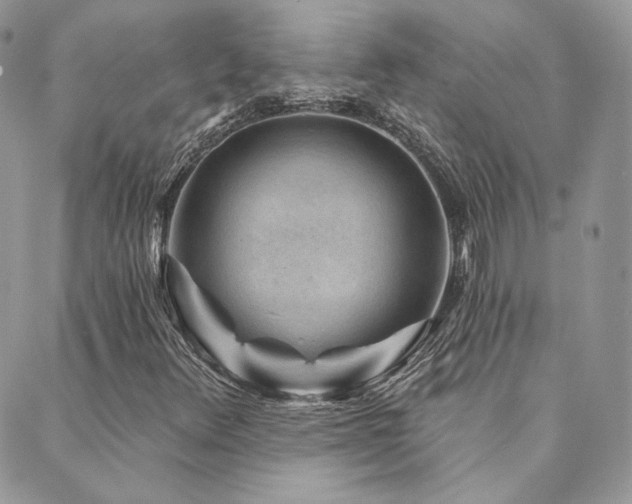 X0000089911348200706291053