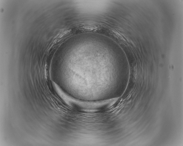 X0000089911394200706291052