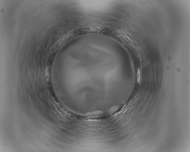 X0000089911395200706291052