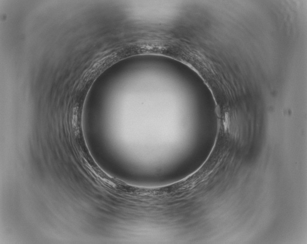 X0000089911396200706291052