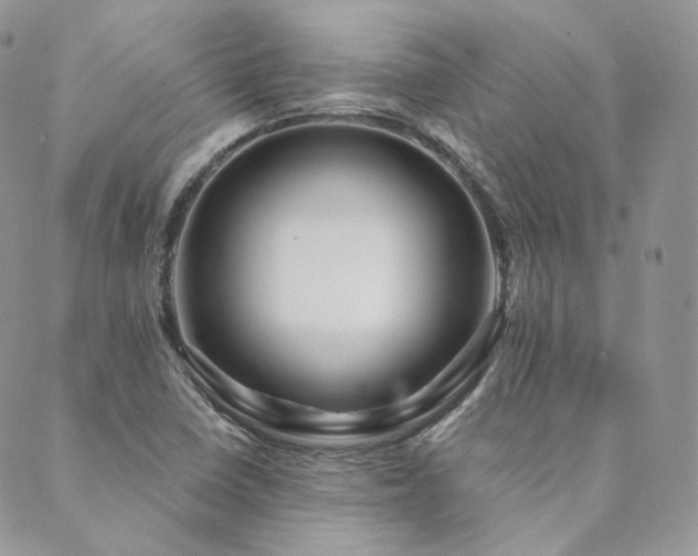 X0000089911410200706291052